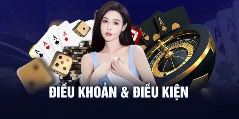 Vai trò của điều khoản và điều kiện được đưa ra